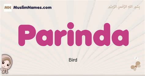 parinda meaning in english|parinda lyrics meaning.